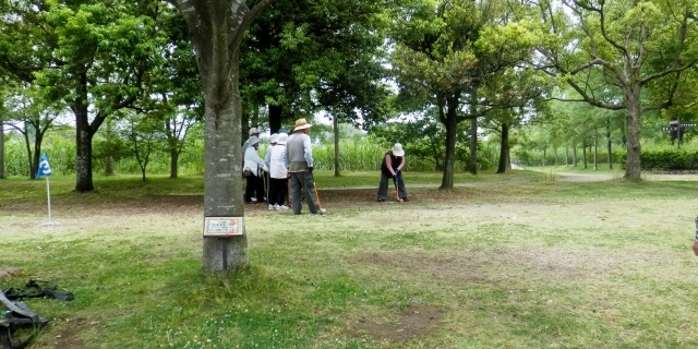 淡路島でゲートボール合宿