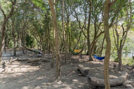 【4月】新緑の呼吸。心に「余白」を、身体に「目覚め」を。