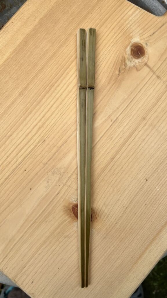 竹の箸1ヶ月経過表